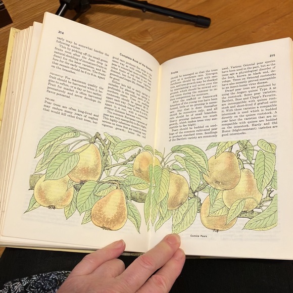 Vintage Reader’s Digest Book of the Garden 1966 - Picture 7 of 8